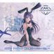 Фигурка Taito Mai Sakurajima Rascal Does Not Dream Of Bunny Girl Senpai Этот глупый свин Маи Сакурадзима 12 cм T MS B PD 12 фото 5