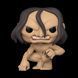 Фігурка Funko Pop Фанко Поп Attack on Titan Атака титанів Ymir Імір 10 см AT YT 1168 AT YT 1168 фото 2