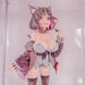 Фігурка Дівчинка кішка Кошкодівчинка Cat Girl Cat 18+ Еро 24 см CH CG C 24 CH CG C 24&nbsp; фото 6