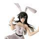 Фигурка Taito Этот глупый свин Маи Сакурадзима Does Not Dream Of Bunny Girl Mai Sakurajima 20 см T DBG MS WB T DBG MS WB фото 2